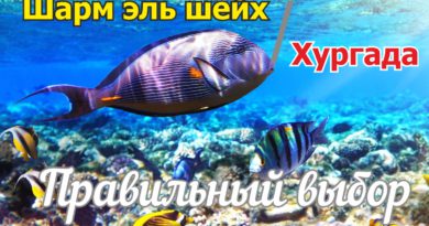 шарм египет