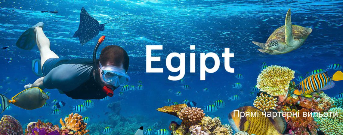 egiptcoral